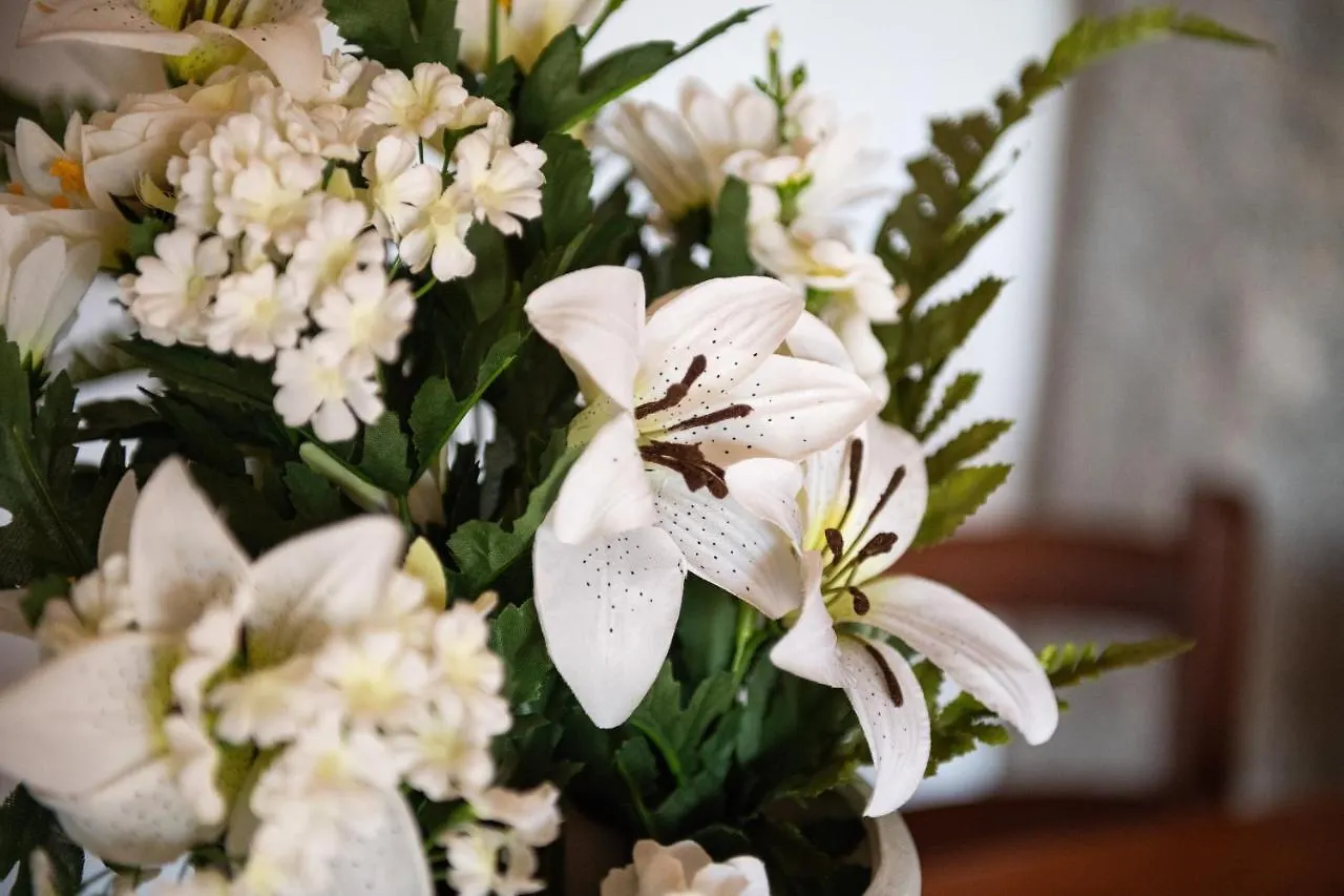 Lägenhet Villa Mallus 4 Posti Letto Olia Speciosa Italien